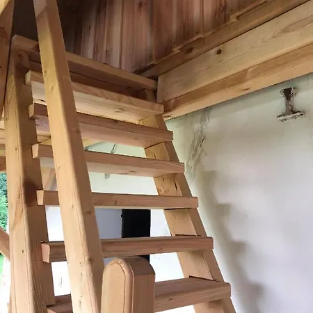 100 Baranyos ゲストハウス Szalafő