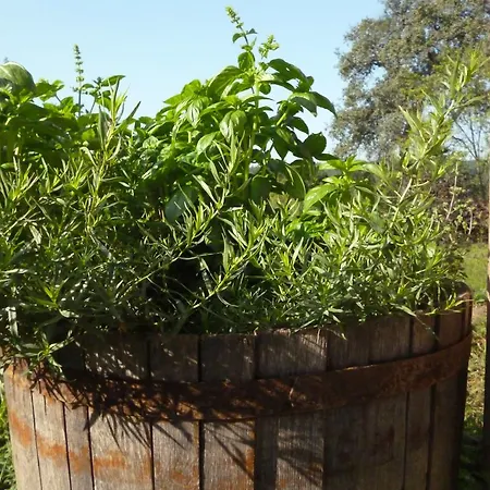 100 Baranyos ゲストハウス 3*