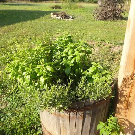 100 Baranyos بيت ضيافة