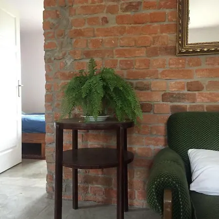 100 Baranyos בית הארחה Szalafő