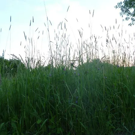 100 Baranyos Szalafő