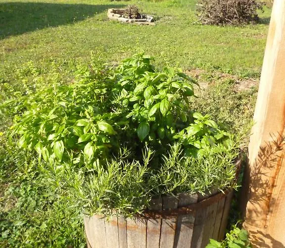 100 Baranyos Casa de hóspedes