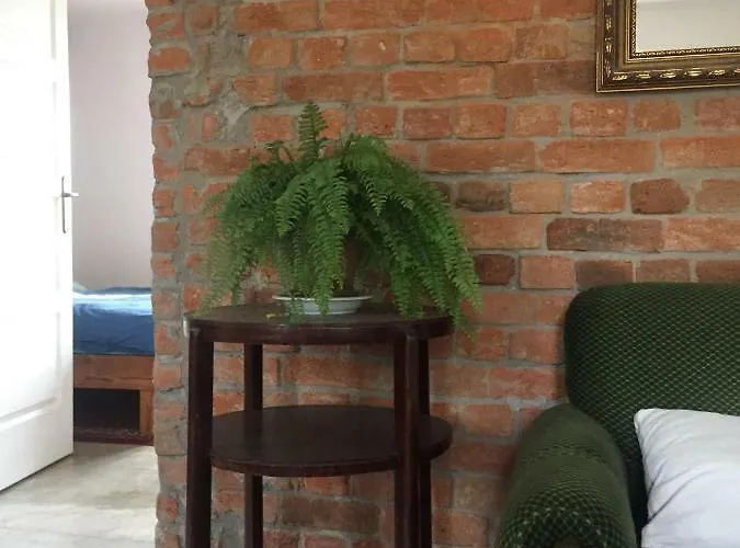 100 Baranyos Casa de hóspedes Szalafő